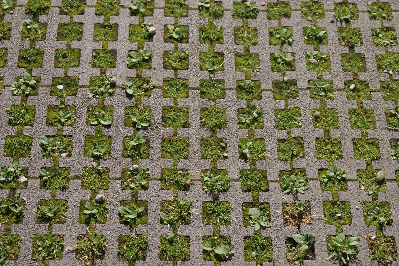 durchlässige Betonplatte mit quadratischen Löchern, in denen Gras wächst