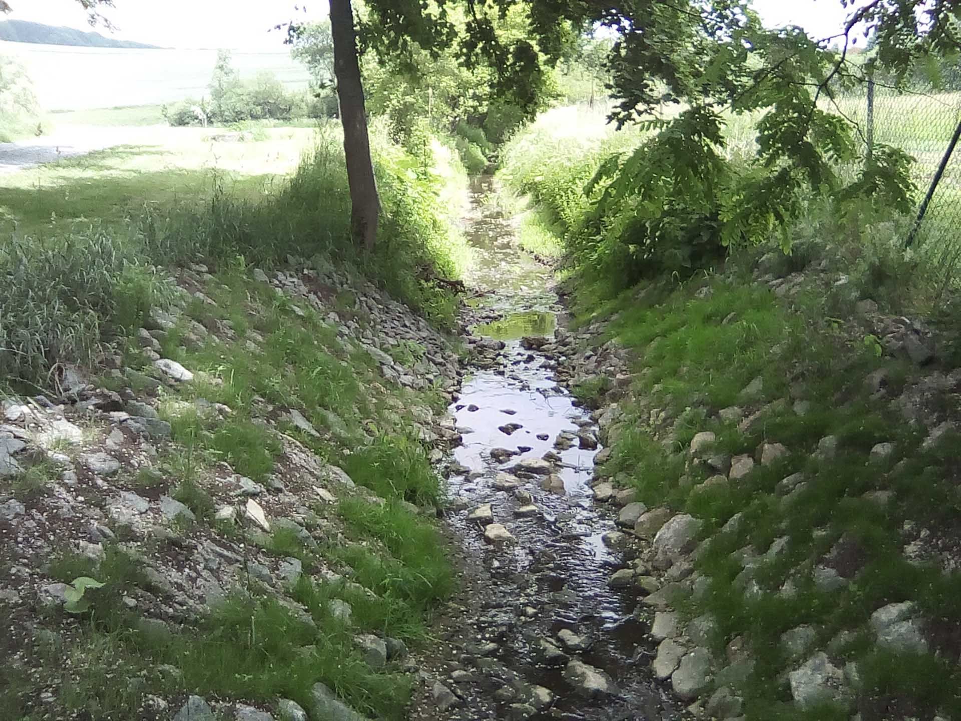 künstlich angelegter Regenwassergraben mit bewachsenen Ufer und kleinem Baum